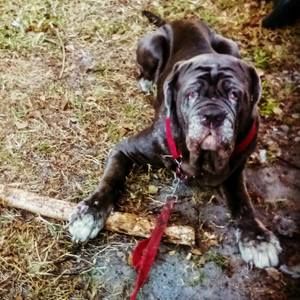 Meet your Posher, Chrissy